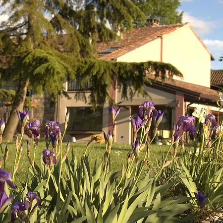 Stevani In Monferrato *