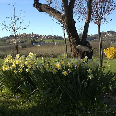 Bed & Breakfast Stevani In Monferrato *