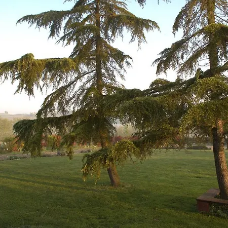 לינה וארוחת בוקר Stevani In Monferrato Rosignano Monferrato
