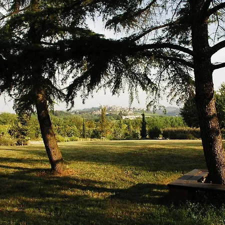 Bed & Breakfast Stevani In Monferrato