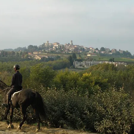 Bed & Breakfast Stevani In Monferrato Rosignano Monferrato